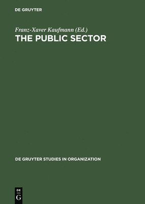 bokomslag The Public Sector