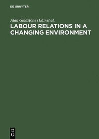 bokomslag Labour Relations in a Changing Environment