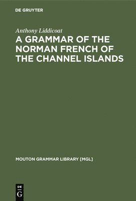 bokomslag Grammar of the Norman French of the Channel Islands