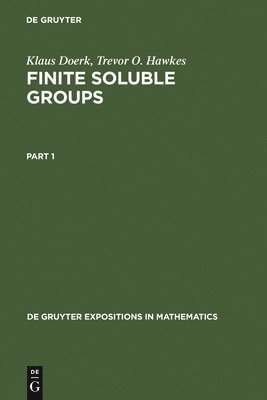 Klaus Doerk, Trevor O. Hawkes - Finite Soluble Groups, Inbunden