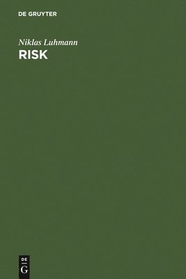 bokomslag Risk