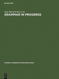 bokomslag Grammar in Progress
