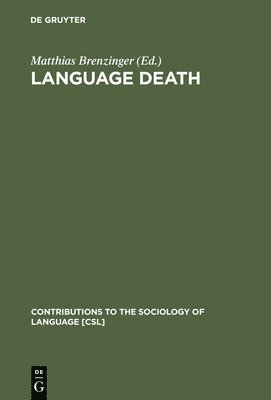 bokomslag Language Death