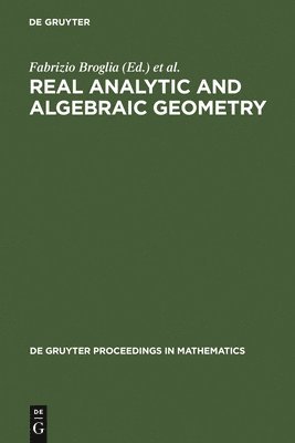 bokomslag Real Analytic and Algebraic Geometry