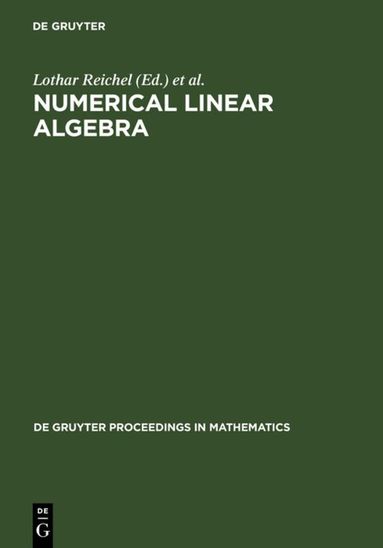 Lothar Reichel, Arden Ruttan, Richard S. Varga - Numerical Linear Algebra, Inbunden