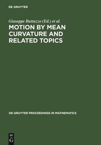 bokomslag Motion by Mean Curvature and Related Topics