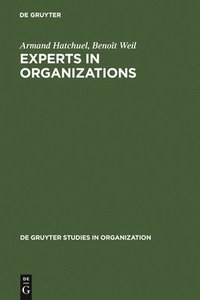 bokomslag Experts in Organizations