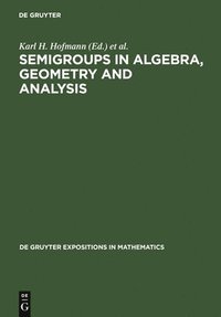 bokomslag Semigroups in Algebra, Geometry and Analysis