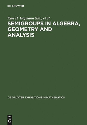 Semigroups in Algebra, Geometry and Analysis 1