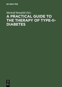 bokomslag A Practical Guide to the Therapy of Type-II-Diabetes