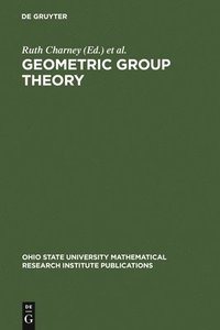bokomslag Geometric Group Theory