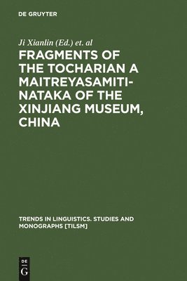 bokomslag Fragments of the Tocharian A Maitreyasamiti-Nataka of the Xinjiang Museum, China