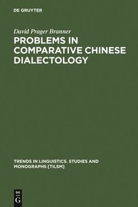 bokomslag Problems in Comparative Chinese Dialectology