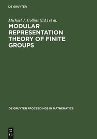 bokomslag Modular Representation Theory of Finite Groups