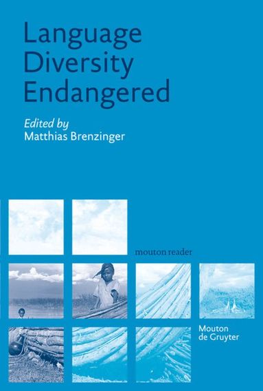 Matthias Brenzinger - Language Diversity Endangered, Inbunden