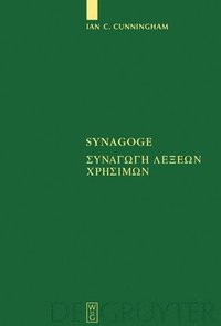 bokomslag Synagoge