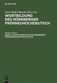 bokomslag Adjektivderivation im Nrnberger Frhneuhochdeutsch um 1500