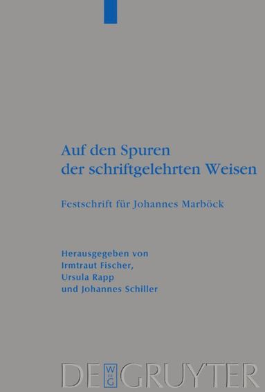 bokomslag Auf den Spuren der schriftgelehrten Weisen