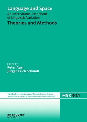Peter Auer, Jürgen Erich Schmidt - Theories and Methods, Inbunden