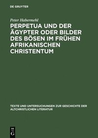 bokomslag Perpetua und der gypter oder Bilder des Bsen im frhen afrikanischen Christentum