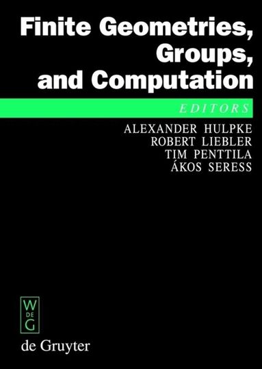 Alexander Hulpke, Robert Liebler, Tim Penttila, Akos Seress - Finite Geometries, Groups, and Computation, Inbunden