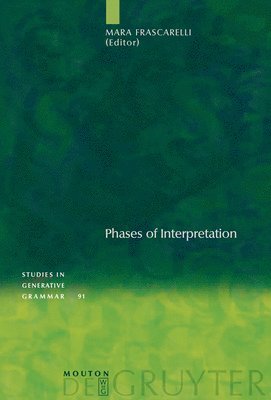 bokomslag Phases of Interpretation