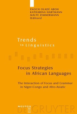 bokomslag Focus Strategies in African Languages