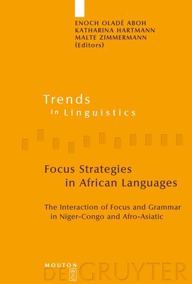 bokomslag Focus Strategies in African Languages