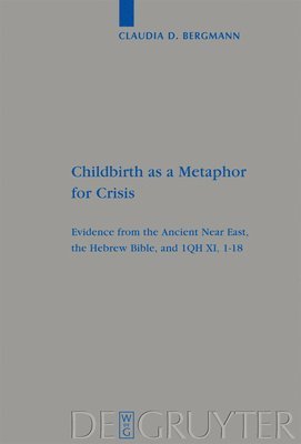 Claudia D. Bergmann - Childbirth as a Metaphor for Crisis, Inbunden