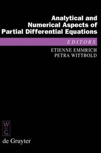 bokomslag Analytical and Numerical Aspects of Partial Differential Equations