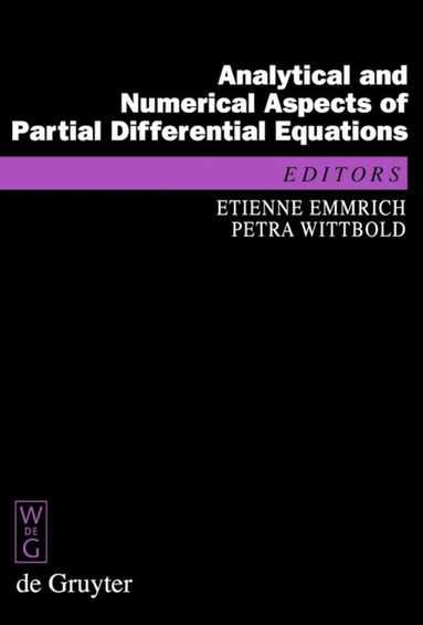 Etienne Emmrich, Petra Wittbold - Analytical and Numerical Aspects of Partial Differential Equations, Inbunden