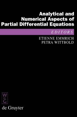 Analytical and Numerical Aspects of Partial Differential Equations 1