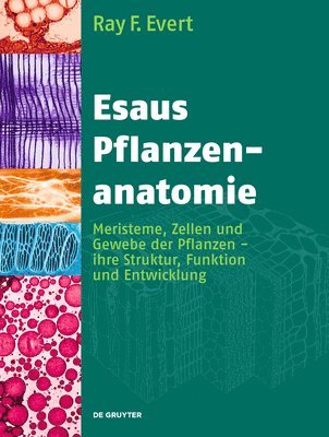 bokomslag Esaus Pflanzenanatomie