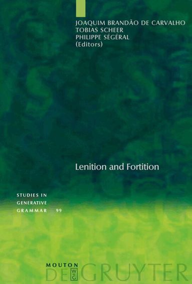 Joaquim Brandão de Carvalho, Tobias Scheer, Philippe Ségéral - Lenition and Fortition, Inbunden