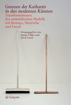Martin Vöhler, Dirck Linck - Grenzen Der Katharsis in Den Modernen Künsten, Inbunden