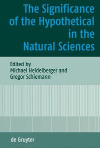 bokomslag The Significance of the Hypothetical in the Natural Sciences