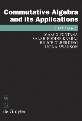 bokomslag Commutative Algebra and its Applications