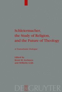 bokomslag Schleiermacher, the Study of Religion, and the Future of Theology