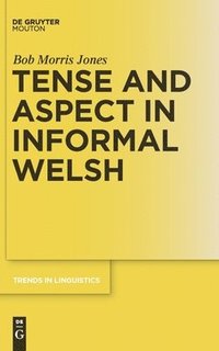 bokomslag Tense and Aspect in Informal Welsh