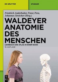 bokomslag Waldeyer - Anatomie Des Menschen: Lehrbuch Und Atlas in Einem Band