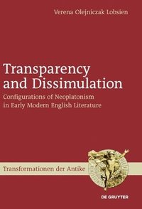 bokomslag Transparency and Dissimulation