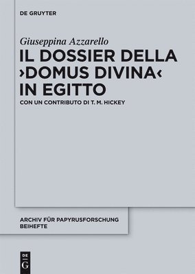 bokomslag Il dossier della "domus divina" in Egitto