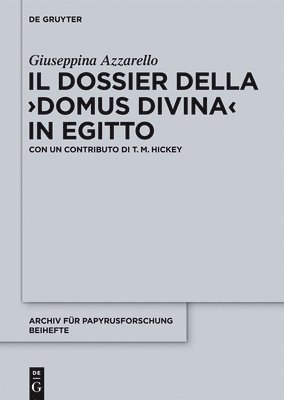 bokomslag Il dossier della &quot;domus divina&quot; in Egitto