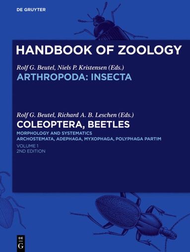 Rolf G. Beutel, Richard A.B. Leschen - Coleoptera, Beetles. Morphology and Systematics, Inbunden