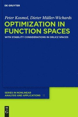Peter Kosmol, Dieter Müller-Wichards - Optimization in Function Spaces, Inbunden