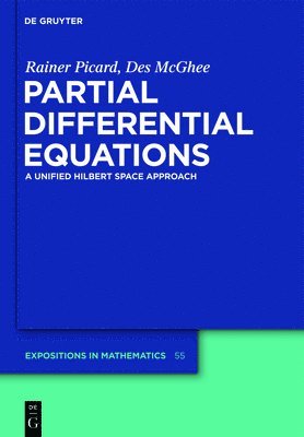 bokomslag Partial Differential Equations