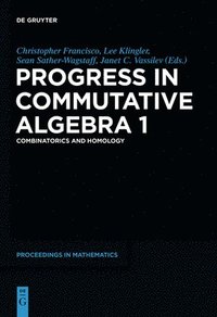 bokomslag Progress in Commutative Algebra 1
