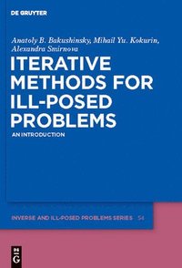 bokomslag Iterative Methods for Ill-Posed Problems