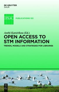 bokomslag Open Access to STM Information