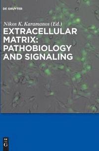 bokomslag Extracellular Matrix: Pathobiology and Signaling